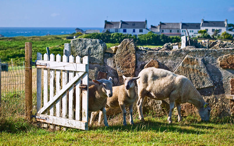 10. Frioul, Provence, 9. Embiez, Provence, Brittany, 7. Port-Cros, Provence, Brittany, 5. Bréhat, Brittany, 4. Oléron, Charente Maritime, 3. Porquerolles, Provence, 2. Belle Île, Brittany, 1. Ouessant, Brittany