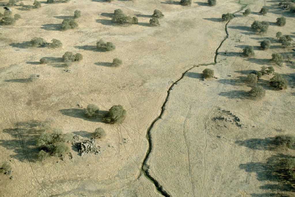 What is the Tintina fault?