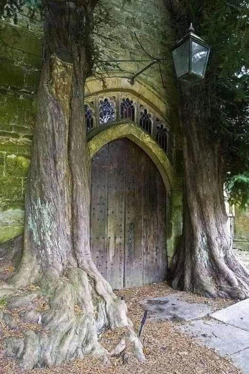 #1 The Beautiful Tree Transforming This Abandoned Place Into A Secret Garden, Ireland, #9 Marton Mogyorosy Lake Iseo, Italy!, #13 Castle Sinclair Girnigoe Located On The East Coast Of Caithness, Scotland, #15 The Incline, Manitou Springs, Colorado!, #19 Found In India, 5000 Years Old, Made From A Single Rock, #21 Castello Di Sammezzano, Italy, #23 Monastery Sumela, Turkey, #25 The Real Dracula's Castle Abandoned, Romania Photo Taken In 1920s, #27 Abandoned Viking Tunnel, Höfn Iceland, #31 Abandoned Castle In Belgium!, #35 Abandoned, #37 Scotland, #39 A 900-Year-Old Church Still Standing In Ireland, #41 Rocca Calascio, L'aquila, Italy, #43 Volkswagen Graveyard, #45 Abandoned Beach House In North Carolina, #47 Estonia, Former Rummu Prison