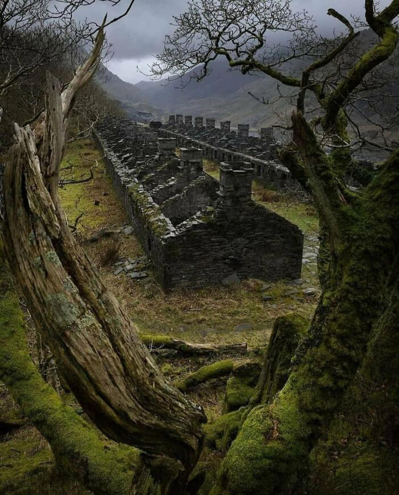 #1 The Beautiful Tree Transforming This Abandoned Place Into A Secret Garden, Ireland, #9 Marton Mogyorosy Lake Iseo, Italy!, #13 Castle Sinclair Girnigoe Located On The East Coast Of Caithness, Scotland, #15 The Incline, Manitou Springs, Colorado!, #19 Found In India, 5000 Years Old, Made From A Single Rock, #21 Castello Di Sammezzano, Italy, #23 Monastery Sumela, Turkey, #25 The Real Dracula's Castle Abandoned, Romania Photo Taken In 1920s, #27 Abandoned Viking Tunnel, Höfn Iceland, #31 Abandoned Castle In Belgium!, #35 Abandoned, #37 Scotland, #39 A 900-Year-Old Church Still Standing In Ireland, #41 Rocca Calascio, L'aquila, Italy, #43 Volkswagen Graveyard, #45 Abandoned Beach House In North Carolina, #47 Estonia, Former Rummu Prison