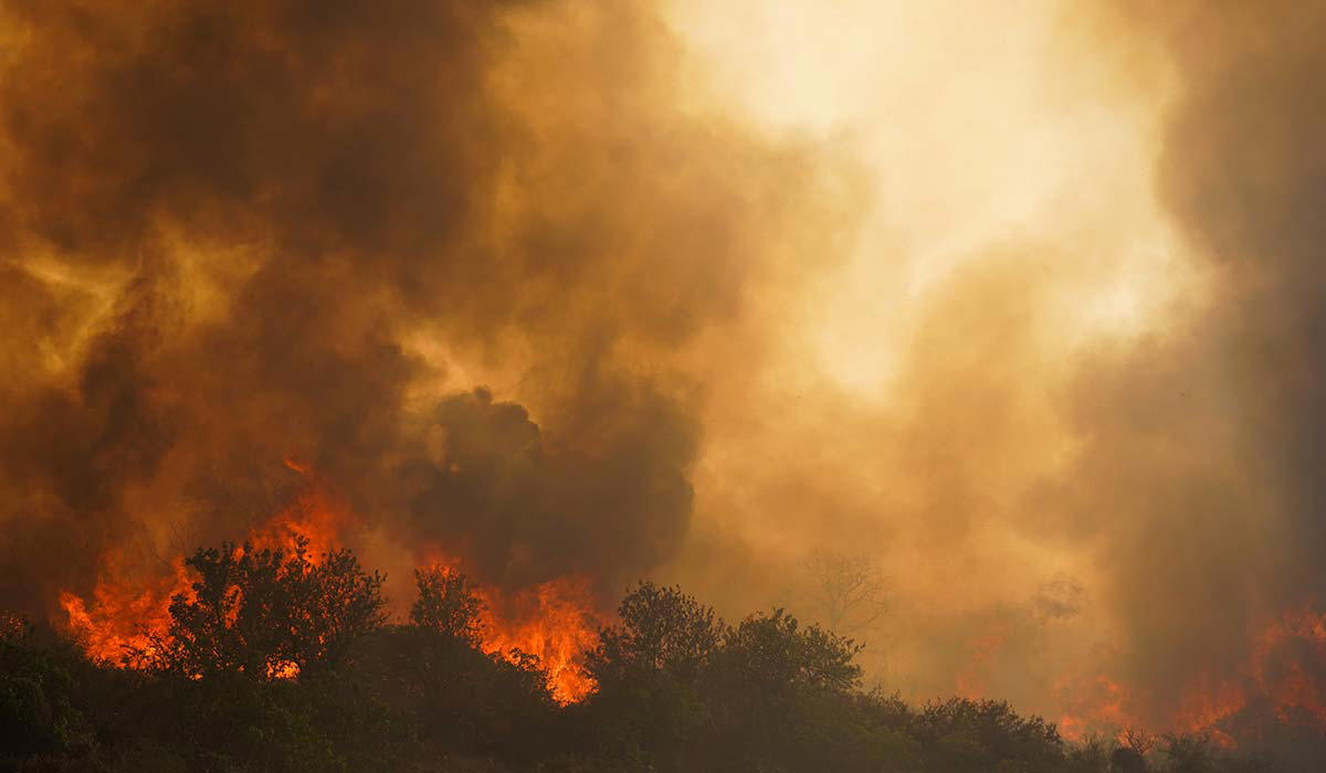'ALL NIGHT BATTLE' IRISH ON HIGH ALERT, OVER 1,700 FLEE HOMES, TURKEY'S 'TRULY GREAT DISASTER', GREECE BATTLES MAJOR FIRES, WORST WILDFIRES IN 50 YEARS, ADVICE FOR FAMILIES ABROAD, SAFETY IS A TOP PRIORITY, FLAMES BRANDED 'TITANIC' STRUGGLE, 'ALL NIGHT BATTLE', GREECE REQUEST EU ASSISTANCE, TOURISTS REDUCED TO TEARS
