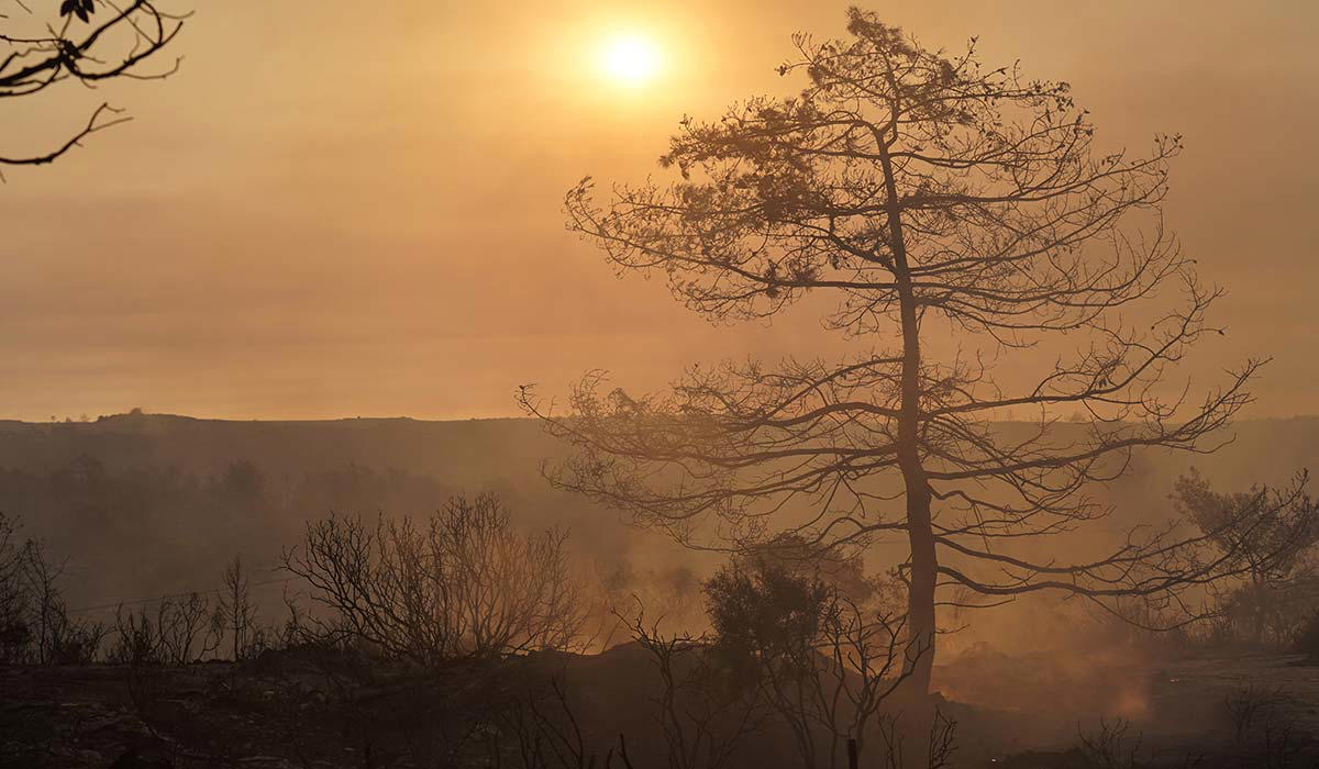 SAFETY IS A TOP PRIORITY IRISH ON HIGH ALERT, OVER 1,700 FLEE HOMES, TURKEY'S 'TRULY GREAT DISASTER', GREECE BATTLES MAJOR FIRES, WORST WILDFIRES IN 50 YEARS, ADVICE FOR FAMILIES ABROAD, SAFETY IS A TOP PRIORITY, FLAMES BRANDED 'TITANIC' STRUGGLE, 'ALL NIGHT BATTLE', GREECE REQUEST EU ASSISTANCE, TOURISTS REDUCED TO TEARS