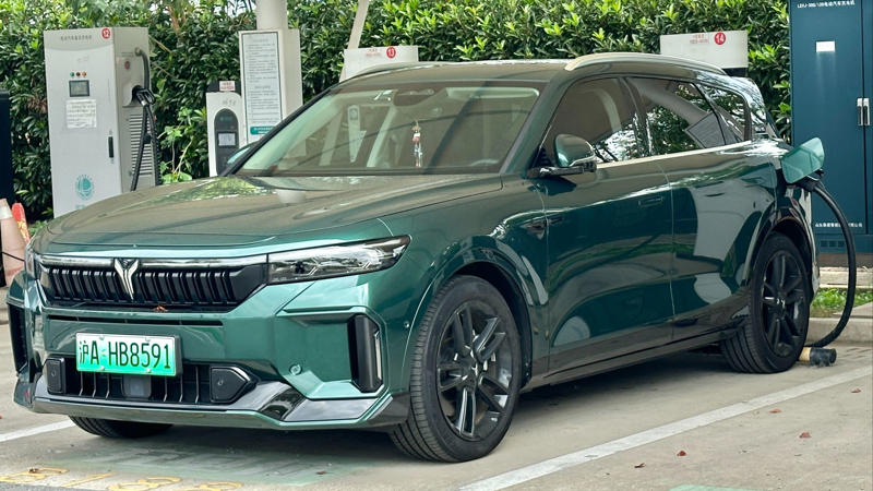 1. BYD Seal, 2. NIO ES6, 3. XPeng P7, 4. Hongqi E-HS9, 5. Li Auto L9, 6. NIO ET5, 7. Zeekr 001, 8. MG4 EV, 9. Geely Geometry C, 10. Ora Good Cat, 11. Leapmotor C11, 12. Voyah Free, 13. BYD Tang EV, 14. AITO M5, 15. NETA S, 16. IM L7, 17. BYD Dolphin, 18. Dongfeng M-Hero 917, 19. Baojun Yep, 20. Lynk &amp; Co 01
