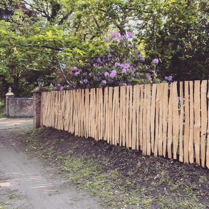 Basket Weave Wood Fence, Vertical Slat Wood Fence, Horizontal Slat Wood Fence, Reclaimed Wood Fence, Painted Wood Fence, Rustic Picket Fence, Live Edge Wood Fence, Curved Lattice-Top Wood Fence, Wood Fence with Matching Planter, Classic White Picket Fence, About the expert
