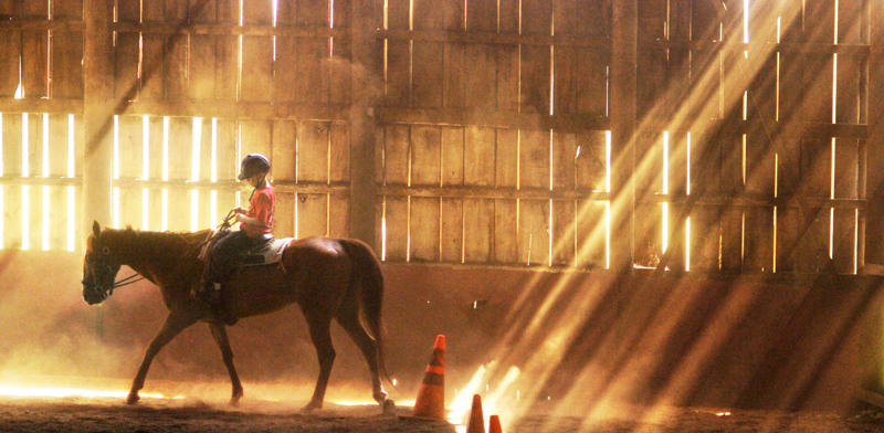 Turkey Run State Park, Nature Valley Ranch, Fort Harrison State Park, Crooked Creek Trails, Brown County State Park, K-Trails Equestrian Adventures, Salt Creek Horse Ranch, Shilo Ranch