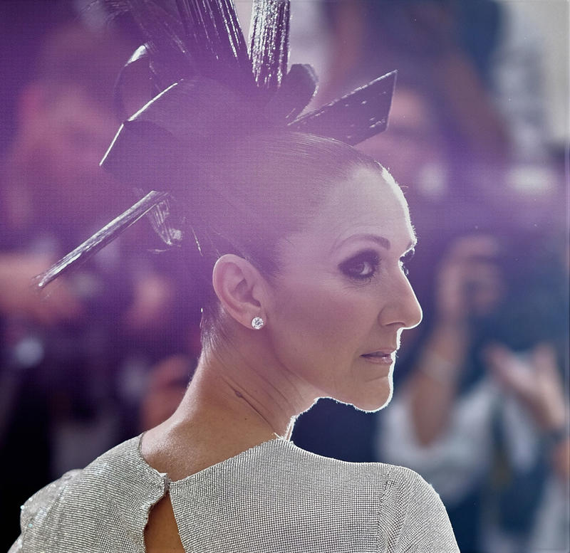 Celine Dion Noam Chomsky, George Soros, Simon Cowell, Jimmy Fallon, Jerry Lee Lewis, Queen Elizabeth II, Dionne Warwick, Clint Eastwood, Barack Obama, Avril Lavigne, Taylor Swift, Celine Dion, Lindsay Lohan, Gabourey Sidibe, Nick Jonas, Justin Bieber, Dwayne Johnson, Abe Vigoda, Zach Braff, Macaulay Culkin, Axl Rose, Michael Jordan, Martin Lawrence, Arnold Schwarzenegger, Carlos Santana, Robert Redford, Chevy Chase, Sean Penn