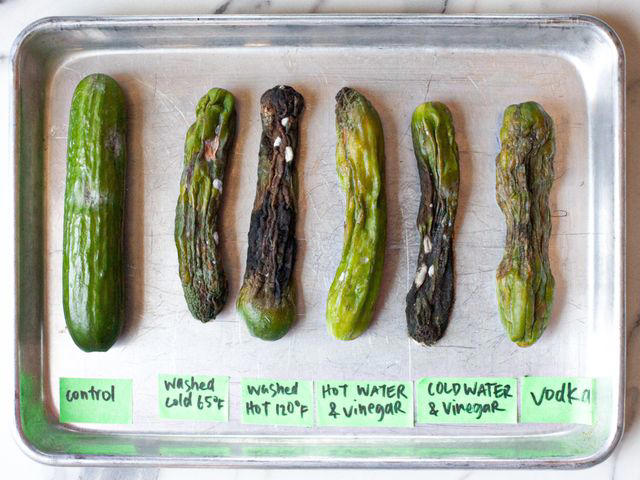 Cucumber Basics, How to Store Cucumbers, According to the Experts, How to Shop for Cucumbers, The Tests, Quick Tips for Cucumber Shopping and Storage