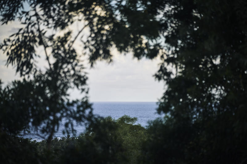   Interest in a remote island ,   ‘An intelligence coup’ ,   Creating options for later ,   About this story 