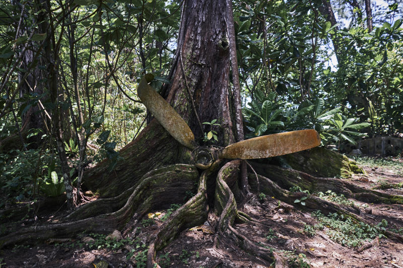   Interest in a remote island ,   ‘An intelligence coup’ ,   Creating options for later ,   About this story 
