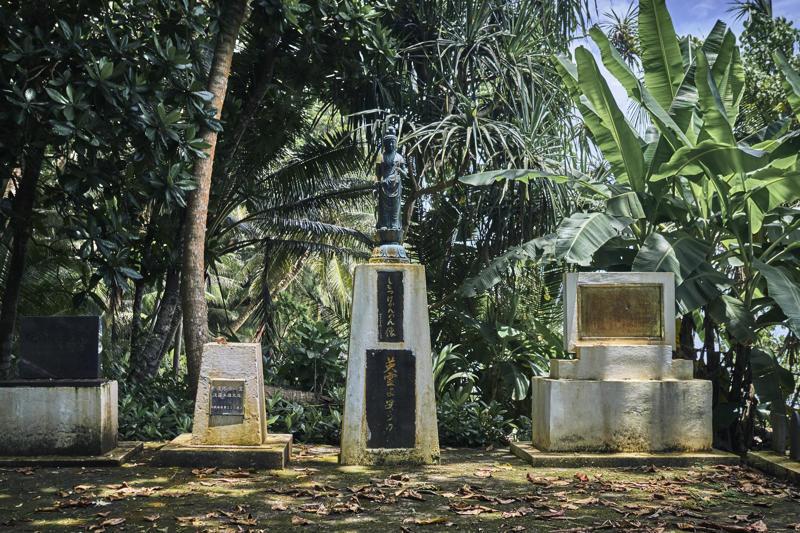   Interest in a remote island ,   ‘An intelligence coup’ ,   Creating options for later ,   About this story 
