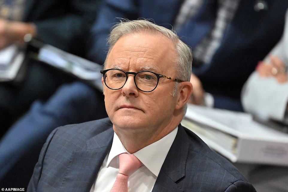 Anthony Albanese slams Israel over Gaza starvation claims