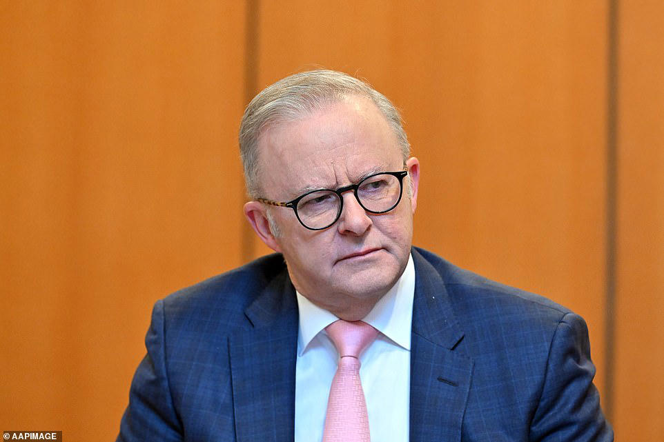 Anthony Albanese slams Israel over Gaza starvation claims