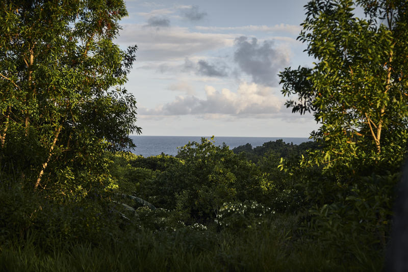   Interest in a remote island ,   ‘An intelligence coup’ ,   Creating options for later ,   About this story 