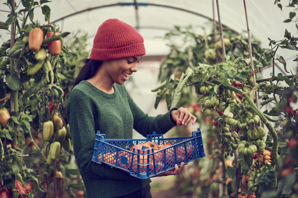 Growing your own food Buying in bulk without reading the small print, Craft queen? Making things yourself could be costing you more, Yellow stickers at the supermarket, Buying weekly meal kits, not whole shops, DIY repairs without proper knowledge, Growing your own food
