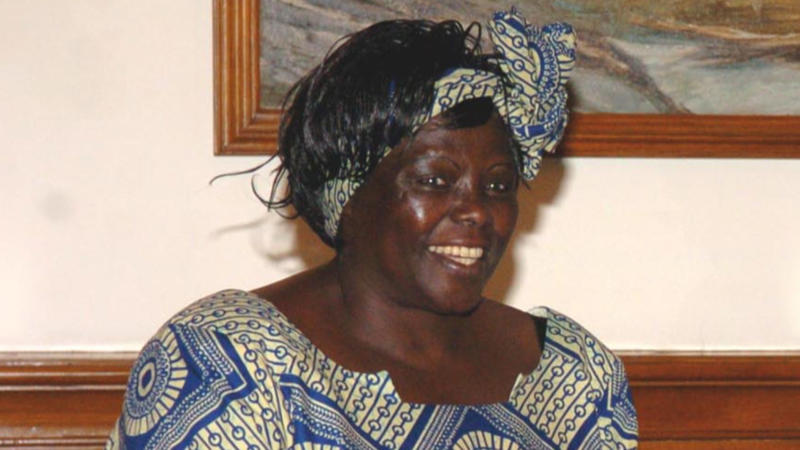 15. Wangari Maathai (1940–2011) 1. Rosalind Franklin (1920–1958), 2. Ignaz Semmelweis (1818–1865), 3. Nikola Tesla (1856–1943), 4. Sybil Ludington (1761–1839), 5. Katherine Johnson (1918–2020), 6. Mary Anning (1799–1847), 7. Claudette Colvin (b. 1939), 8. Ching Shih (1775–1844), 9. Lewis Latimer (1848–1928), 10. Noor Inayat Khan (1914–1944), 11. Hypatia Of Alexandria (c. 350–415 CE), 12. Sigrid Undset (1882–1949), 13. Henrietta Lacks (1920–1951), 14. Walter Rodney (1942–1980), 15. Wangari Maathai (1940–2011), 16. Grace Hopper (1906–1992), 17. Hedy Lamarr (1914–2000), 18. John Snow (1813–1858), 19. Zitkála-Šá (1876–1938), 20. Benjamin Banneker (1731–1806)