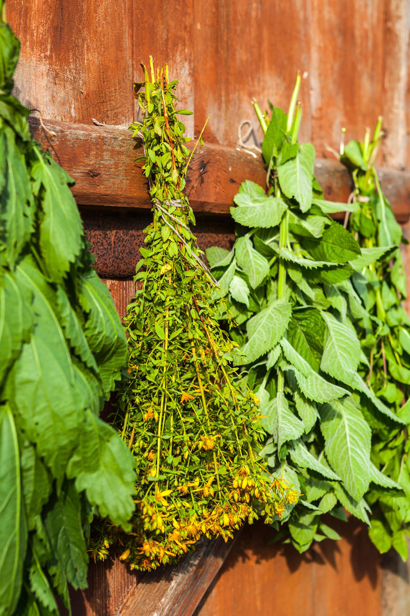 Air-dry, Freeze, Put herbs in ice cube trays, Take cuttings, Harvest seeds, Preserve in oil, Make herb butter, Create a spice mix, Make your own sauce