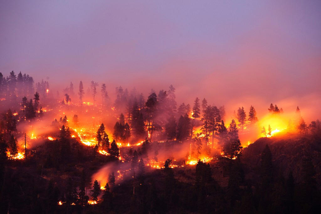 What did the researchers find? What is Haze season?, What is Trash season?, What did the researchers find?, Extinct seasons, Arrhythmic and syncopated seasons