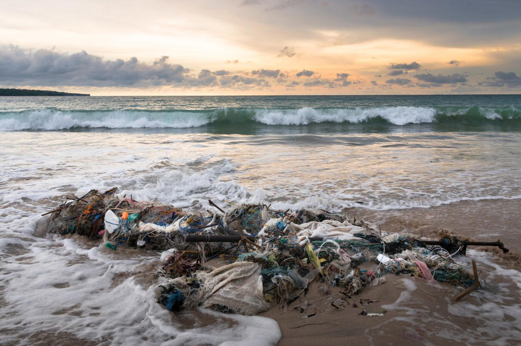 What is Trash season? What is Haze season?, What is Trash season?, What did the researchers find?, Extinct seasons, Arrhythmic and syncopated seasons