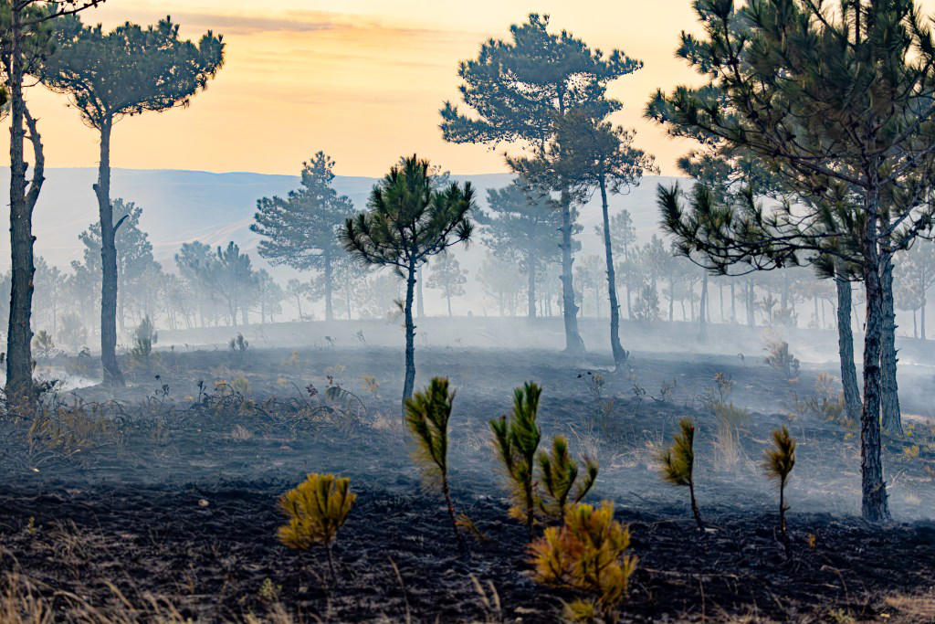 Earth has two new seasons, scientists claim What is Haze season?, What is Trash season?, What did the researchers find?, Extinct seasons, Arrhythmic and syncopated seasons
