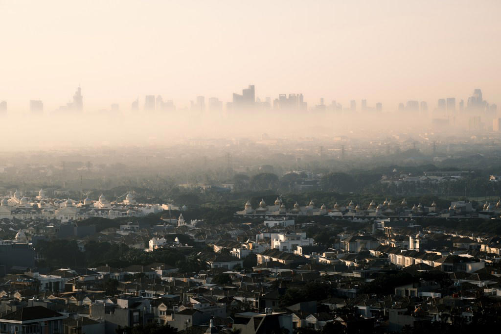 What is Haze season? What is Haze season?, What is Trash season?, What did the researchers find?, Extinct seasons, Arrhythmic and syncopated seasons