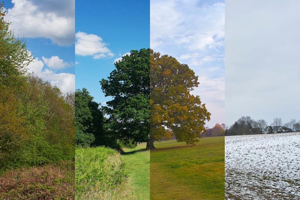 Earth has two new seasons, scientists claim What is Haze season?, What is Trash season?, What did the researchers find?, Extinct seasons, Arrhythmic and syncopated seasons