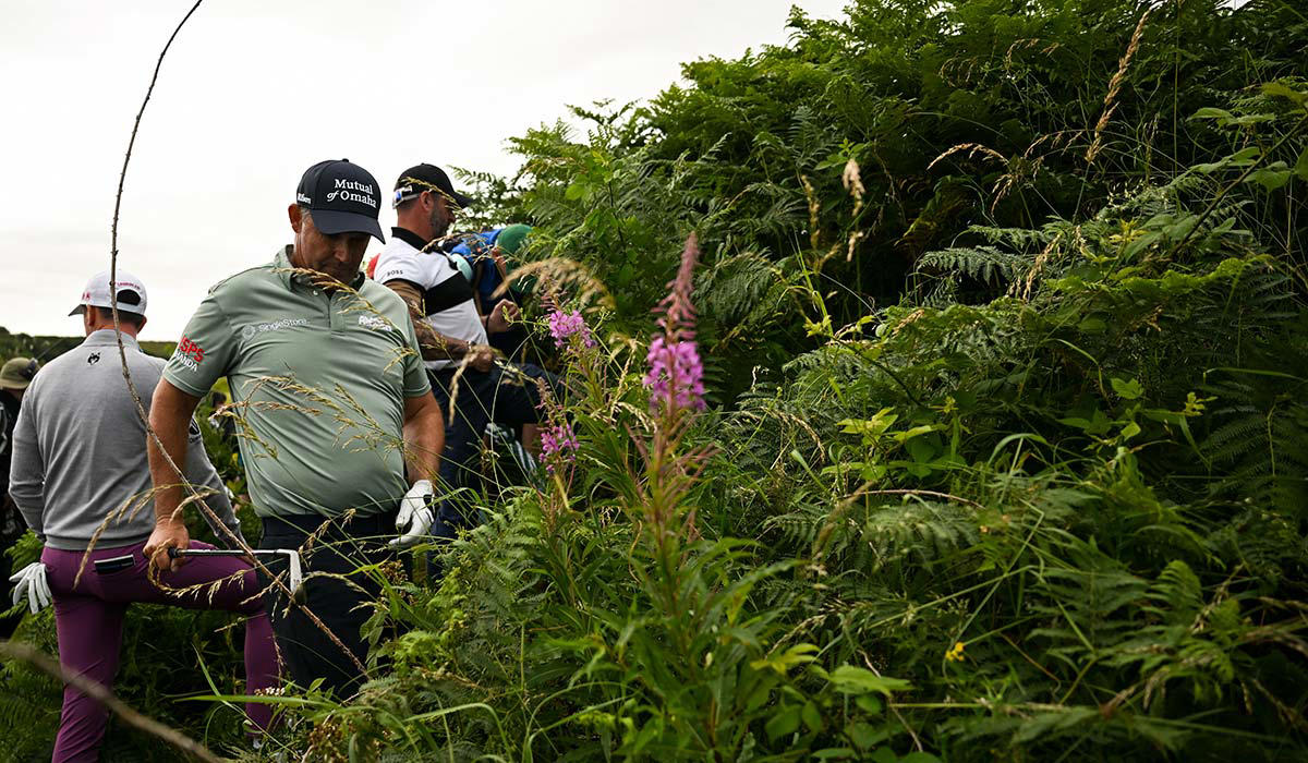 NICE NET WORTH JUMP, HARRINGTON JOINS ELITE GROUP, THREE DECADES OF PRO GOLF, THREE MAJORS IN 13 MONTHS, TWELVE EUROPEAN WINS, PGA SENIOR CHAMPIONS, POPULAR SPONSORS, HARRINGTON GOLF LTD, GOLF IRELAND AMBASSADOR, NEED SOME GOLFING TIPS?