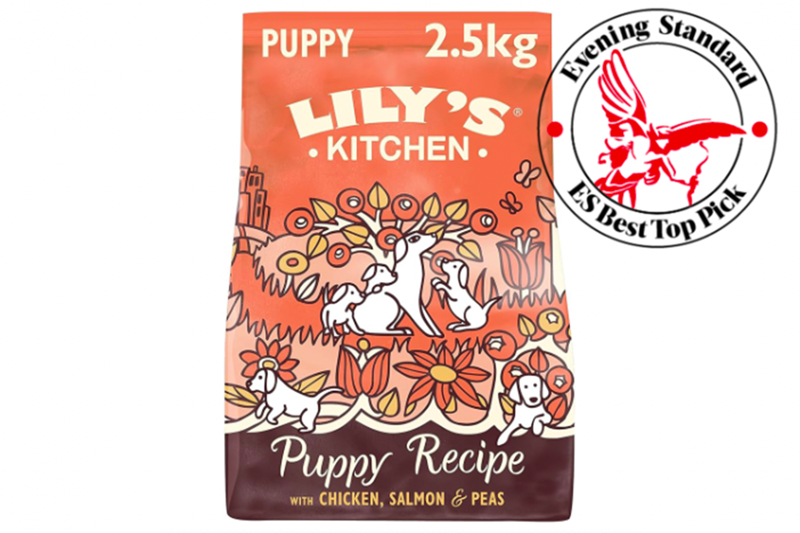 What's the difference between puppy food and adult dog food?, Lily's Kitchen Natural Puppy Dry Dog Food , Butternut Box , Pure Pet Food, Canagan Puppy Food, Royal Canin Mini Puppy Dry Dog Food, Wainwright's Dry Puppy Food, Forthglade Salmon Grain Free Cold Pressed Natural Dry Dog Food, Edgard &amp; Cooper Dry Puppy Food