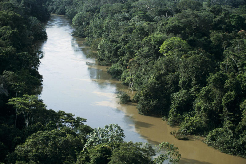 Misconceptions, Marriage, Where did the misbelief come from?, Divorce rates, Bee pollination, A smaller but significant portion, The final percentage, Microorganisms, 1970s estimate, About half, Amazon rainforest, In-land photosynthesis, Net zero, The origin of the myth
