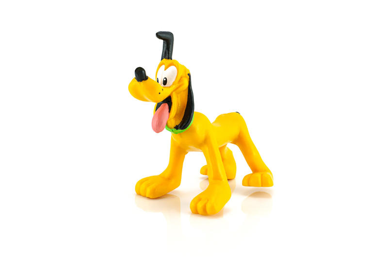 9/11 Canine Rescue Team, Bo Obama, Beethoven, Rin Tin Tin, Scooby-Doo