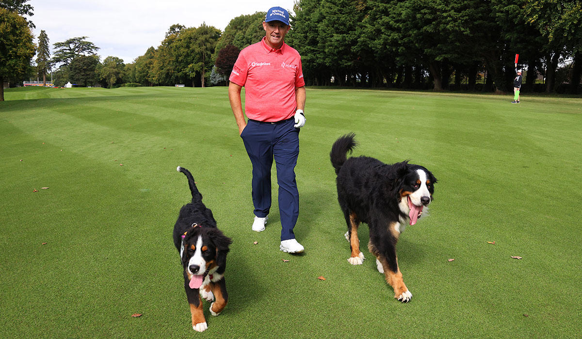 NICE NET WORTH JUMP, HARRINGTON JOINS ELITE GROUP, THREE DECADES OF PRO GOLF, THREE MAJORS IN 13 MONTHS, TWELVE EUROPEAN WINS, PGA SENIOR CHAMPIONS, POPULAR SPONSORS, HARRINGTON GOLF LTD, GOLF IRELAND AMBASSADOR, NEED SOME GOLFING TIPS?