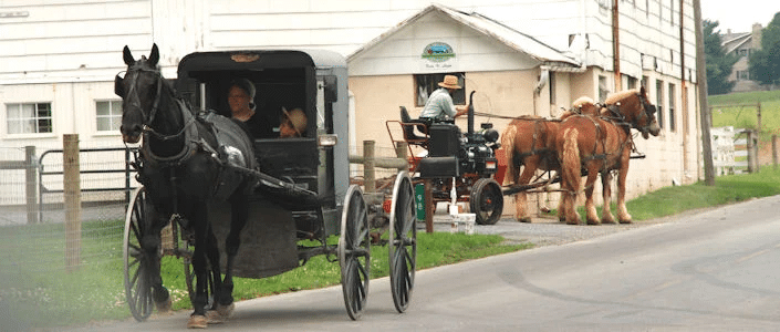 #28: Amish Country in Pennsylvania #1: Road Trips on Route 66, #3: Visiting Disneyland (Opened in 1955), #4: Beach Vacations in the Catskills or Jersey Shore, #6: Driving to Mount Rushmore, #7: Cross-Country Train Trips, #9: Touring Washington D.C., #10: Niagara Falls Vacations, #12: Vacationing in the Ozarks, #13: California Coast Road Trips, #15: Smoky Mountains Retreats, #16: Mackinac Island Getaways, #18: Motel Hopping on the Open Road, #19: Visiting the World’s Fair (New York 1964–65), #21: Cape Cod Summers, #22: Santa Cruz or Coney Island Boardwalks, #24: Southern California Theme Parks, #25: Visiting Relatives in the South or Midwest, #27: Rocky Mountain National Park, #28: Amish Country in Pennsylvania, #30: Aloha Adventures to Hawaii (Post-1959)