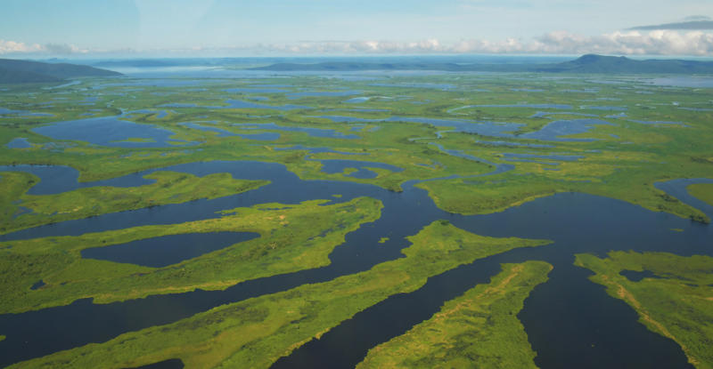 The most amazing wetlands in the world Okavango Delta, Botswana, Camargue, France, Pantanal, Brazil, Danube Delta, Romania, Kafue Flats, Zambia, Sundarbans, Bangladesh, Kopački Rit, Croatia, Ria Formosa, Portugal, Sudd, South Sudan, Caerlaverock, Scotland, Mesopotamia Marshes, Iraq, Marais Poitevin, France