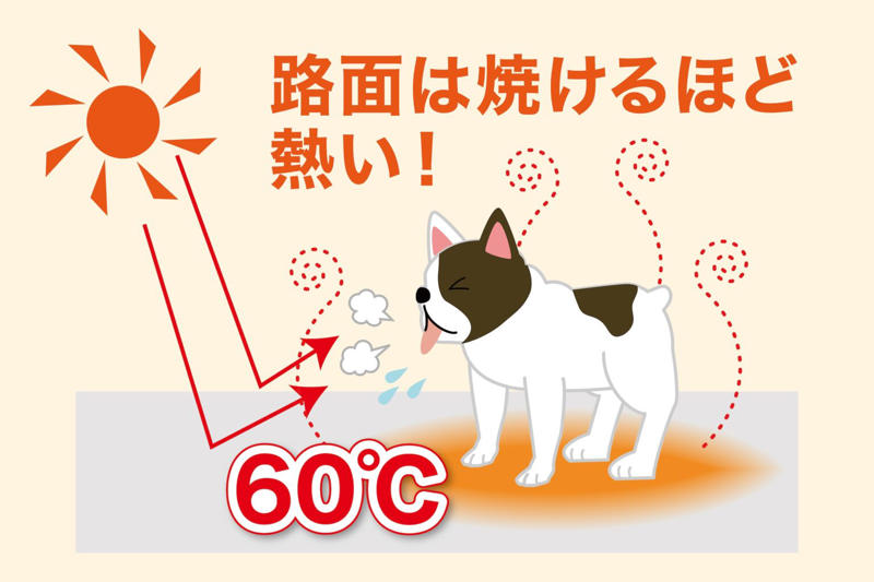 確実に暑さを増しているニッポンの夏, ペットの熱中症ってどんな病気？どうなっちゃうの？, 日中の屋外はもちろん、家の中にも熱中症の危険が…, 正常なバイタルサインを知っておこう, 普段から気をつけたい10のポイント, 体の面で気をつけたいポイント, 環境の面で気をつけたいポイント, 家でもできることがある?!ペットの熱中症への対処法
