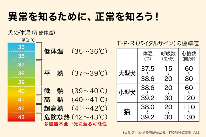 確実に暑さを増しているニッポンの夏, ペットの熱中症ってどんな病気？どうなっちゃうの？, 日中の屋外はもちろん、家の中にも熱中症の危険が…, 正常なバイタルサインを知っておこう, 普段から気をつけたい10のポイント, 体の面で気をつけたいポイント, 環境の面で気をつけたいポイント, 家でもできることがある?!ペットの熱中症への対処法