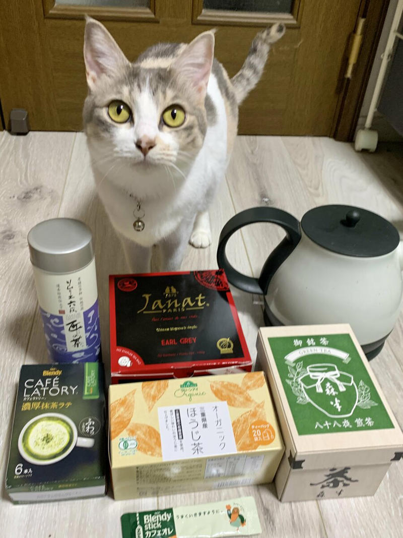 麦茶をつくらない人は3割ほど, 麦茶づくりをやめたきっかけは？, 麦茶をやめて、ここが変わった！, 麦茶をやめたあとの飲み物は？