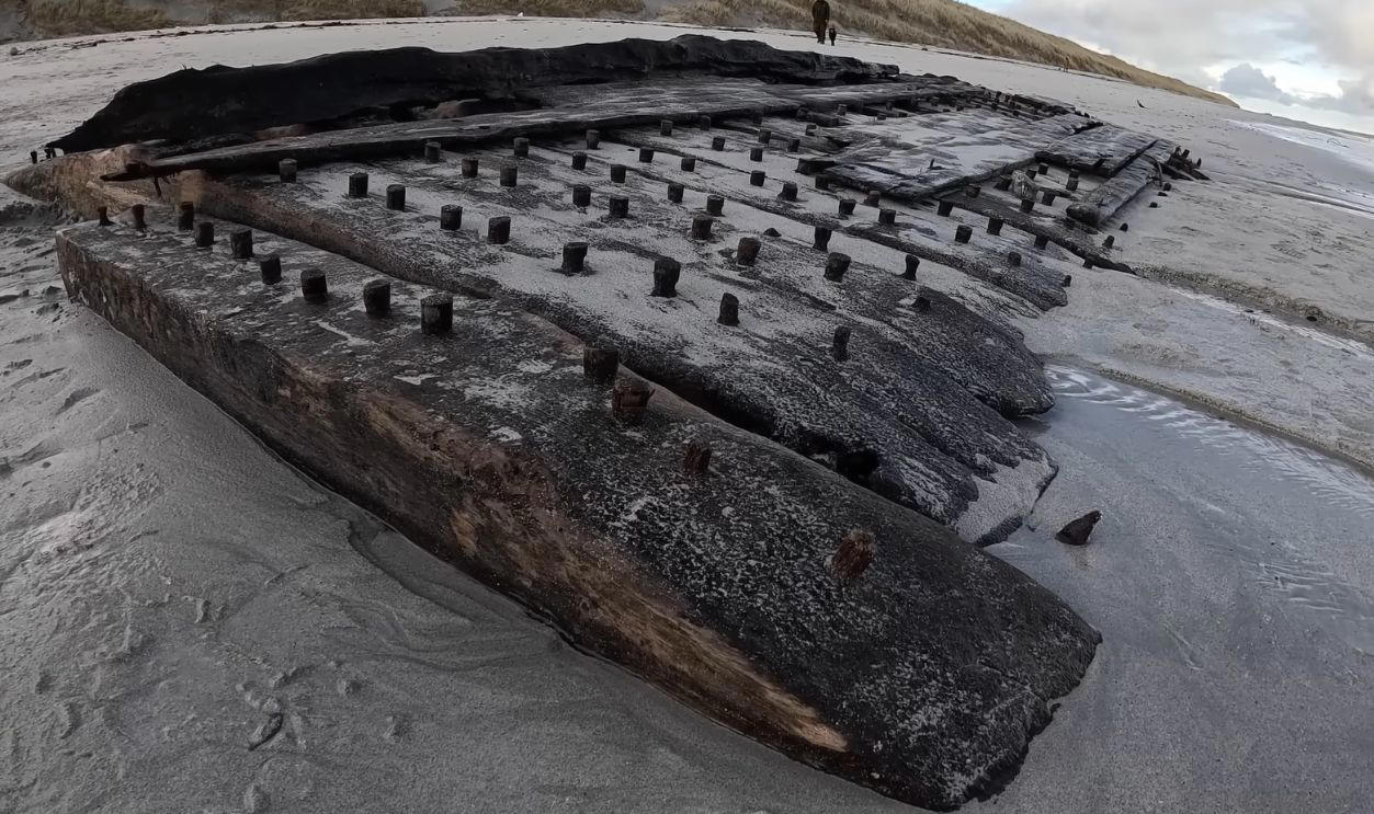 A Shipwreck That Spoke Volumes, Storms Reshape The Sanday Coastline, Unusual Timbers Revealed By The Tide, Discovery Credited To A Local Schoolboy, Discovery Credited To A Local Schoolboy (Cont.), Islanders Mobilize To Recover The Remains, Timbers Were Hauled To Safety By Hand And Tractor, Dendrochronology Pinpoints The Era, Dendrochronology Pinpoints The Era (Cont.), Wessex Archaeology Takes The Lead On Study, Microscopic Grain Patterns Support Naval Origin, Archival Clues Narrow The Field To HMS Hind, Archival Clues Narrow The Field To HMS Hind (Cont.), A War Frigate Built For Empire, A War Frigate Built For The Empire (Cont.), She Crossed Oceans Under The Union Jack, A Whaling Vessel Venturing To The North, The Crew Faced Ice, Isolation, And Peril, March 1788 Marks The End, All 56 Sailors Survived The Ordeal, Lopness Bay Became A Silent Tomb, Folklore Preserved Fragments Of The Tale, Funding Secured For Long-Term Study, Funding Secured For Long-Term Study (Cont.), The Community Leads Its Own Maritime Revival
