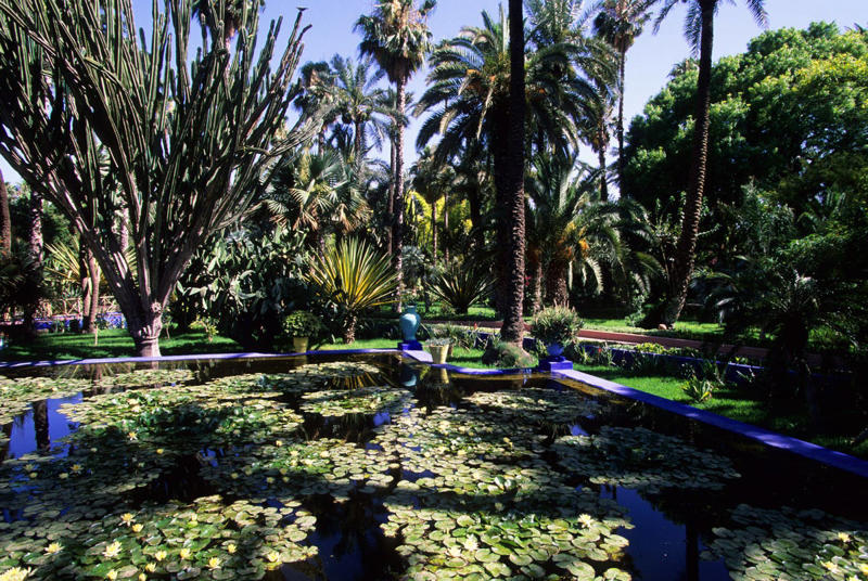 2) Jardin Majorelle, Marrakech, Morocco