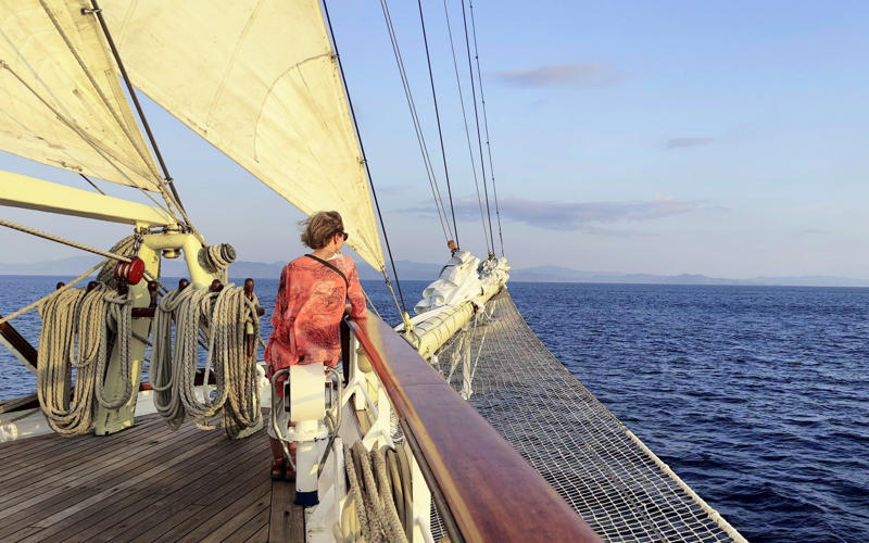 1. Where does Star Clippers sail?, 2. Who does Star Clippers appeal to?, 3. The fleet, Royal Clipper (227 passengers), Sails to, Star Clipper and Star Flyer (166 passengers), Sails to, 4. Access for guests with disabilities, 5. Loyalty scheme