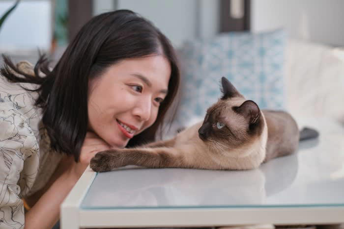 猫語を正しく理解するために必要なこと, ポジティブとネガティブの違いをおさえる, 猫のグゥという不思議な鳴き声に込められた気持ち, 猫のグゥ以外の不思議な鳴き声