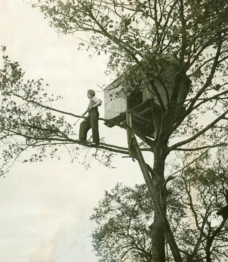 Building Treehouses Without Adult Supervision Playing Outside Until the Streetlights Came On, Riding Bikes Without Helmets, Drinking from the Garden Hose, Unsupervised Trick-or-Treating Adventures, Hitching a Ride in the Back of a Pickup Truck, Making Collect Calls from Payphones, Visiting Friends Without Calling Ahead, Playing in the Backseat Without Seatbelts, Eating Cookie Dough Straight from the Bowl, Buying Candy Cigarettes at the Local Store, Building Treehouses Without Adult Supervision, Playing with Lawn Darts and Other Dangerous Toys, Having Pen Pals with Strangers, Using Real Tools in Woodshop Classes, Collecting and Trading Physical Cards and Stickers, Walking to School Alone or with Friends, Sharing a Single Landline Phone for the Entire Family, Exploring Abandoned Places and Properties