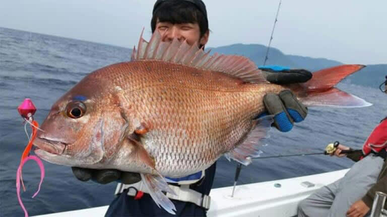 シーバスの釣りシーズン, シーバスの釣り方, ― ボートシーバス, ― ライトジギング, ― 電気ウキ釣り, シーバスの食べ方, ― ムニエル／ポワレ