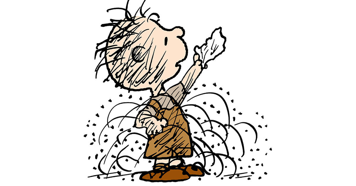 #9 Pig-Pen #1 Charlie Brown, #2 Snoopy, #3 Linus van Pelt, #4 Woodstock, #5 Lucy van Pelt, #6 Schroeder, #7 Peppermint Patty, #8 Sally Brown, #9 Pig-Pen, #10 Marcie, #11 Franklin, #12 Violet, #13 Rerun van Pelt, #14 The Little Red-Haired Girl, #15 Frieda
