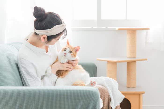 1.大きな声で話す, 2.低い声で話す, 3.話すときに身振り手振りが大きい, 4.目を合わせて話す