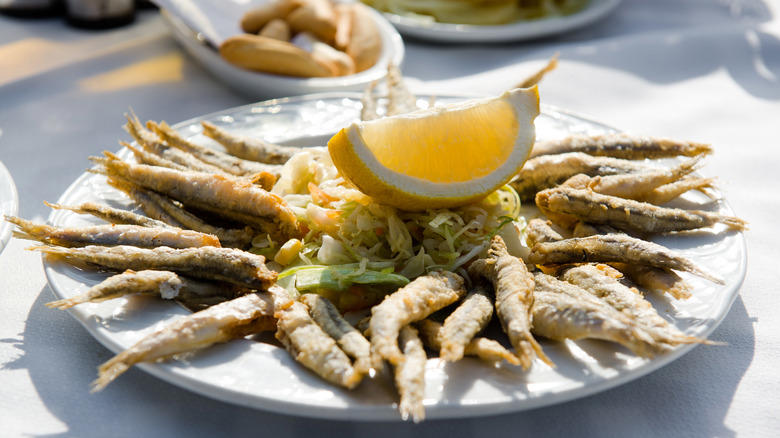 Sardines De Espeto, Tortilla Española, Pescados Fritos, Tortilla Del Sacromonte, Chirimoya, Fritura Malagueña, Ajo Blanco, Churros Con Chocolate