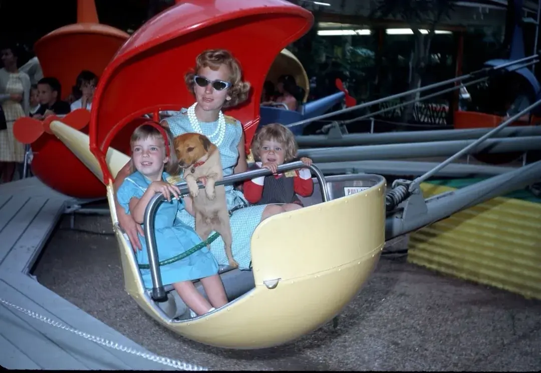16. Dogs Like Rides Too (1962) 1. Boys Setting Up Their Train Model (1946), 2. Dangerous Curves (1949), 3. Before Prom (1967), 4. Going for a Ride in the Convertible (1957), 5. Enjoying a Day at the Public Pool (1960s), 6. Mespelbrunn Castle in Bavaria, Germany, 7. Diving Contest in Palm Beach, Florida (1959), 8. Waiting on a Prom Date (1950s), 9. A Husband’s Portrait of His Wife (1954), 10. Times Square (1959), 11. Little Girl Fishing on the North Shore of Oahu (1960), 12. Couple on Vacation in Florida (1950s), 13. A Baker and His Bread (1950s), 14. Kids Posing by Their Family Vehicle (1966), 15. Brothers Playing in the Snow (1963), 16. Dogs Like Rides Too (1962), 17. Orphan Children from Mooseheart, Illinois (1948), 18. Stopping at Texaco on a Road Trip (1958), 19. Toddler Walking Around in Flowers (1954), 20. Boys on a Camping Trip (1965), 21. Saying Goodbye to Grandma (1950), 22. Picnic in France (1969), 23. A Night at the Bar (1950s), 24. Typical Teen Party (1978)