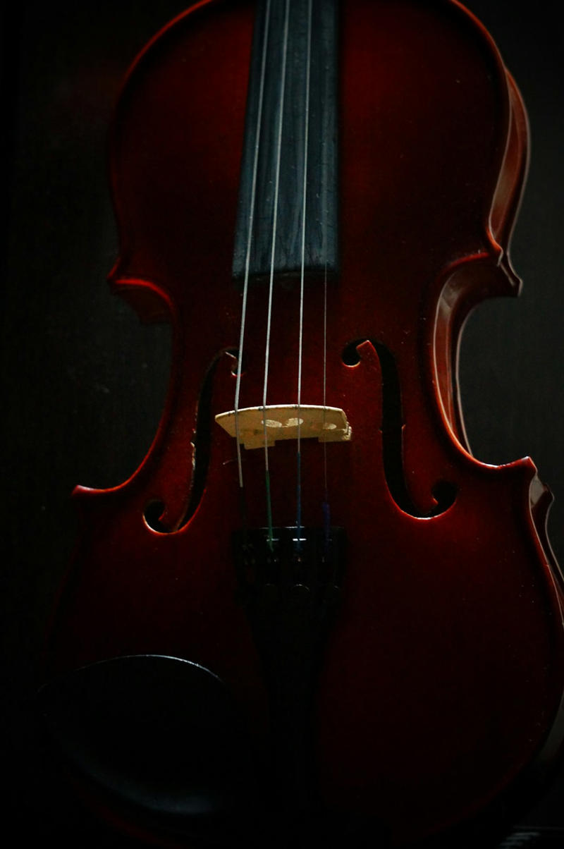 Old Musical Instruments Old Vinyl Records, Vintage Toys From Your Childhood, Pokemon Cards, Baseball Cards, Vintage Christmas Ornaments, Vintage Board Games, First Edition Books, Vintage Dishware and China, Vintage Costume Jewelry, Old Musical Instruments, Vintage Electronics, Beanie Babies