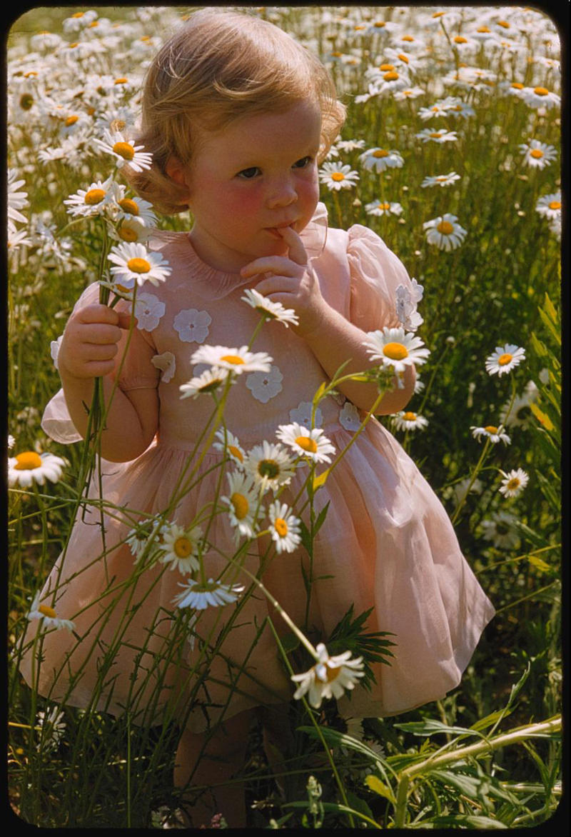 19. Toddler Walking Around in Flowers (1954) 1. Boys Setting Up Their Train Model (1946), 2. Dangerous Curves (1949), 3. Before Prom (1967), 4. Going for a Ride in the Convertible (1957), 5. Enjoying a Day at the Public Pool (1960s), 6. Mespelbrunn Castle in Bavaria, Germany, 7. Diving Contest in Palm Beach, Florida (1959), 8. Waiting on a Prom Date (1950s), 9. A Husband’s Portrait of His Wife (1954), 10. Times Square (1959), 11. Little Girl Fishing on the North Shore of Oahu (1960), 12. Couple on Vacation in Florida (1950s), 13. A Baker and His Bread (1950s), 14. Kids Posing by Their Family Vehicle (1966), 15. Brothers Playing in the Snow (1963), 16. Dogs Like Rides Too (1962), 17. Orphan Children from Mooseheart, Illinois (1948), 18. Stopping at Texaco on a Road Trip (1958), 19. Toddler Walking Around in Flowers (1954), 20. Boys on a Camping Trip (1965), 21. Saying Goodbye to Grandma (1950), 22. Picnic in France (1969), 23. A Night at the Bar (1950s), 24. Typical Teen Party (1978)