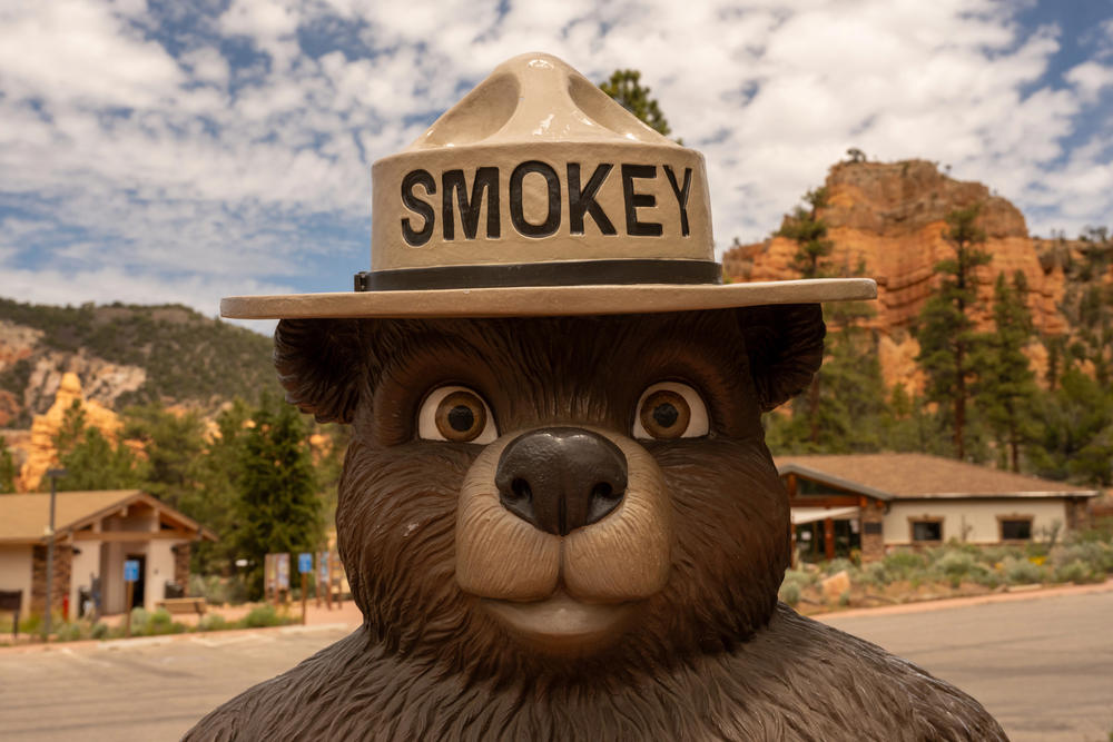 Smokey Bear Tony the tiger, The Geico gecko, Chester Cheetah, Smokey Bear, The Energizer bunny, The Pillsbury Doughboy, The Geico camel, Hello Kitty, The Kool-Aid man, Road Runner, Why animal mascots remain important today