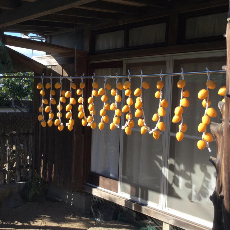 「実家じまい」でかかった費用と母の工夫, 1：時間を味方にする, 2：イベントや地域サービスを活用, 3：墓じまい・仏壇じまいは丁寧に, 50代、家じまいをした70代の母から学んだこと