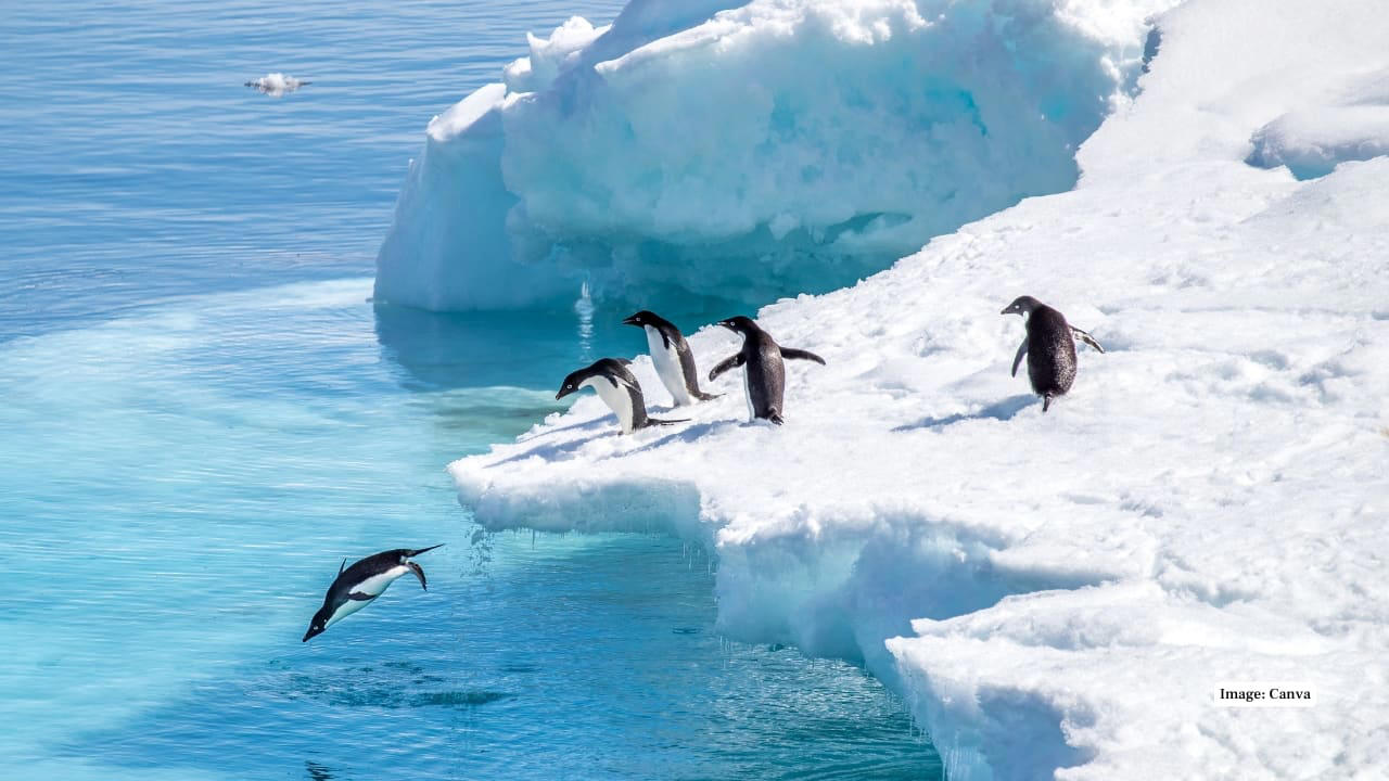 1. Antarctica Antarctica is the coldest place on Earth, with temperatures plunging below –80°C in winter. Vast ice sheets, frozen deserts, and extreme winds make it an uninhabitable yet fascinating destination for scientists and adventurers. (Image: Canva), 2. Russia Home to Siberia, Russia faces brutal winters where temperatures can drop to –50°C. Towns like Oymyakon are among the coldest inhabited places, with frozen landscapes stretching endlessly across its vast northern regions. (Image: Canva), 3. Canada Northern Canada is known for frigid winters, often reaching –40°C. The Yukon, Nunavut, and Northwest Territories experience long, icy seasons, while snow-covered forests and frozen lakes create breathtaking Arctic scenery. (Image: Canva), 4. Greenland Greenland, largely covered by ice sheets, remains freezing almost year-round. Winter temperatures can fall below –50°C, and even in summer, the Arctic chill dominates, making it one of the coldest inhabited lands. (Image: Canva), 5. Mongolia Mongolia’s winters are harsh, especially in the steppe and mountain regions. The country records temperatures dropping to –40°C, with strong winds and snowstorms shaping life for its nomadic communities. (Image: Canva), 6. Norway Norway’s northern regions within the Arctic Circle face bitter cold, dipping to –40°C. Its fjords freeze over, and polar nights extend for months, offering both harsh conditions and dazzling Northern Lights. (Image: Canva), 7. Kazakhstan Kazakhstan’s vast steppes experience extreme winters, where temperatures reach –45°C. Cities like Astana (now Astana) endure piercing winds and heavy snow, showcasing the country’s challenging yet resilient lifestyle during freezing months. (Image: Canva), 8. Finland Finland’s Lapland region experiences severe cold, dropping below –40°C in winter. Endless snow-covered forests, frozen lakes, and the magical aurora borealis make it one of the most striking cold destinations. (Image: Canva), 9. Iceland Despite geothermal activity, Iceland experiences harsh Arctic chills in winter, especially in the north. Freezing winds, icy glaciers, and snow-covered landscapes define the island nation, while polar nights enhance its wintry charm. (Image: Canva), 10. United States (Alaska) Alaska records some of the coldest temperatures in the United States, with lows below –50°C in Fairbanks and northern regions. Vast glaciers, tundras, and icy wilderness dominate this frozen frontier. (Image: Canva)
